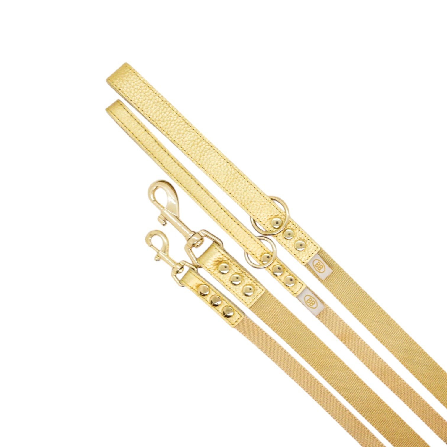 ゴールドナゲット【Gold Nugget】 – バディーベルトジャパン
