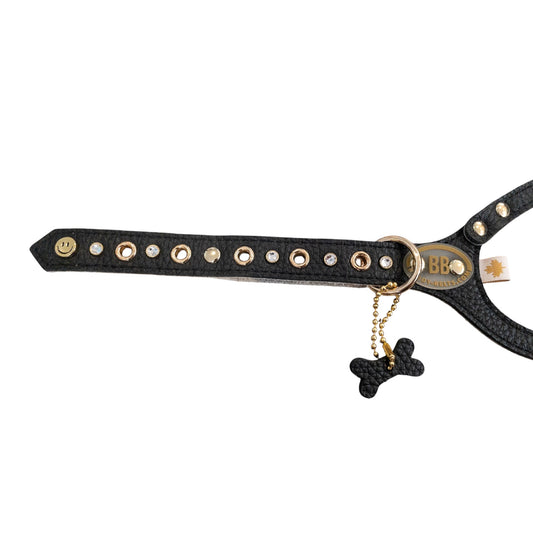 SPECIAL SALE「ブラックセレブ4号」