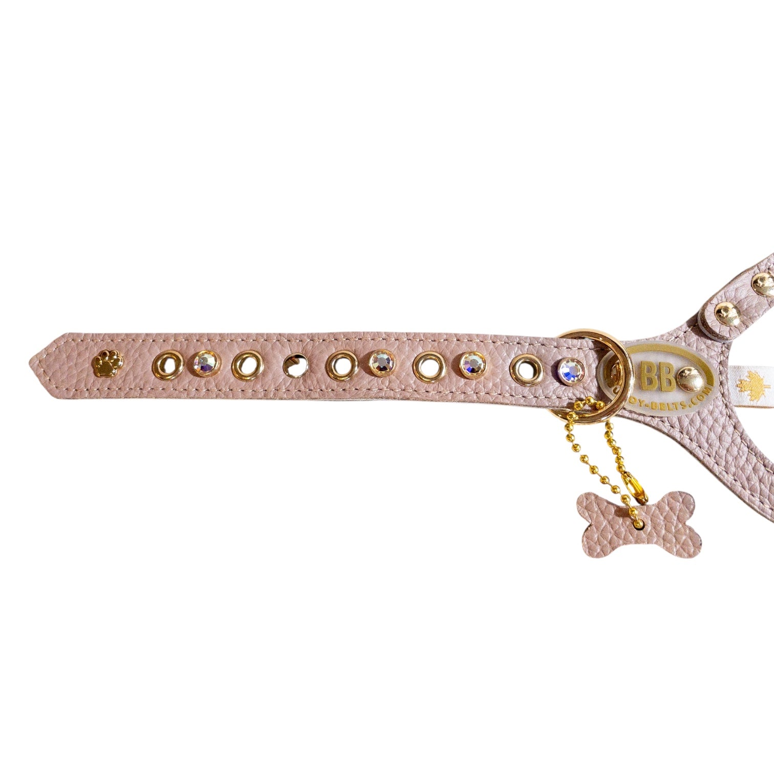 SPECIAL SALE「ラテ4号」