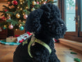 Gallery viewerに画像を読み込む, 【Christmas数量限定販売】ホリデイグリーン