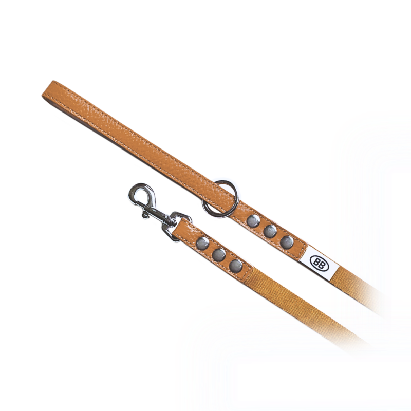 キャラメル【Caramel】 – バディーベルトジャパン