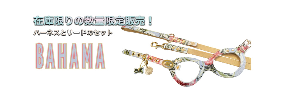BUDDY BELTS JAPAN – バディーベルトジャパン BUDDY BELTS JAPAN – バディーベルトジャパン