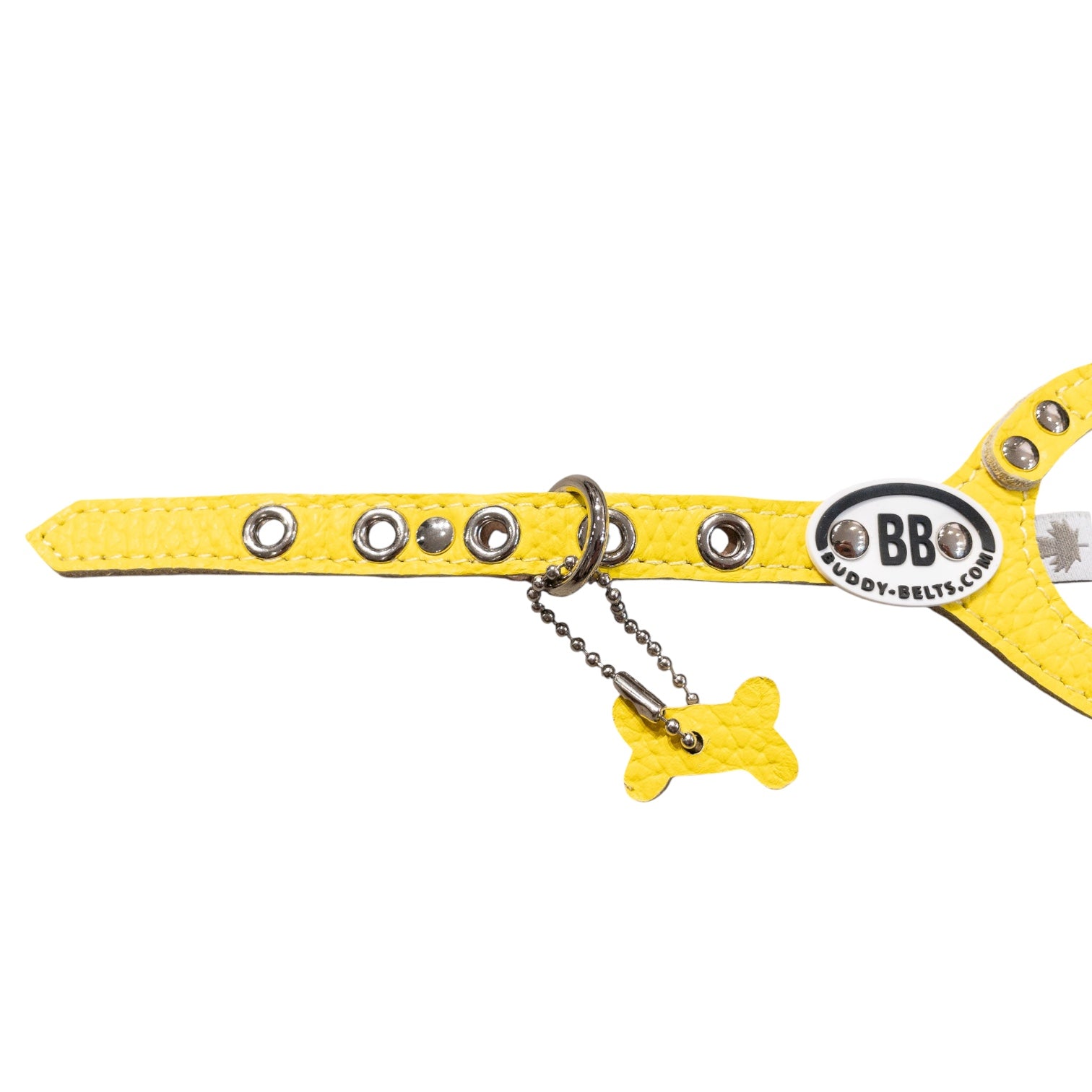バディベルト　カナリア　サイズ2.5 2.5号サイズ BUDDY BELTS バディーベルト バディベルト ハーネス