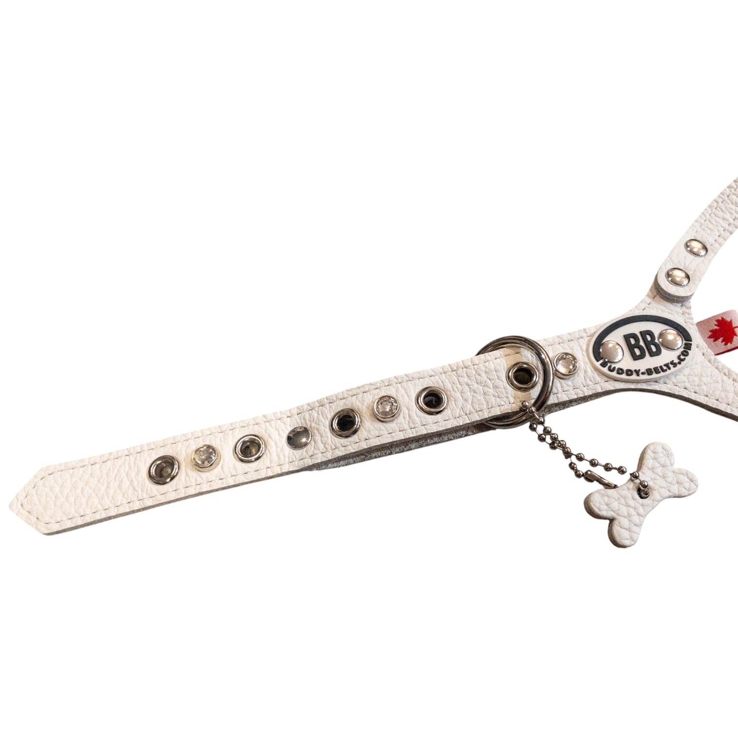 SPECIAL SALE「ホワイトキャップ4号」