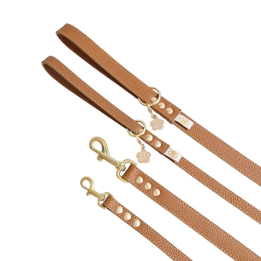 ゴールドビスケット【Gold Biscuit】バディーベルトジャパン10th限定カラー