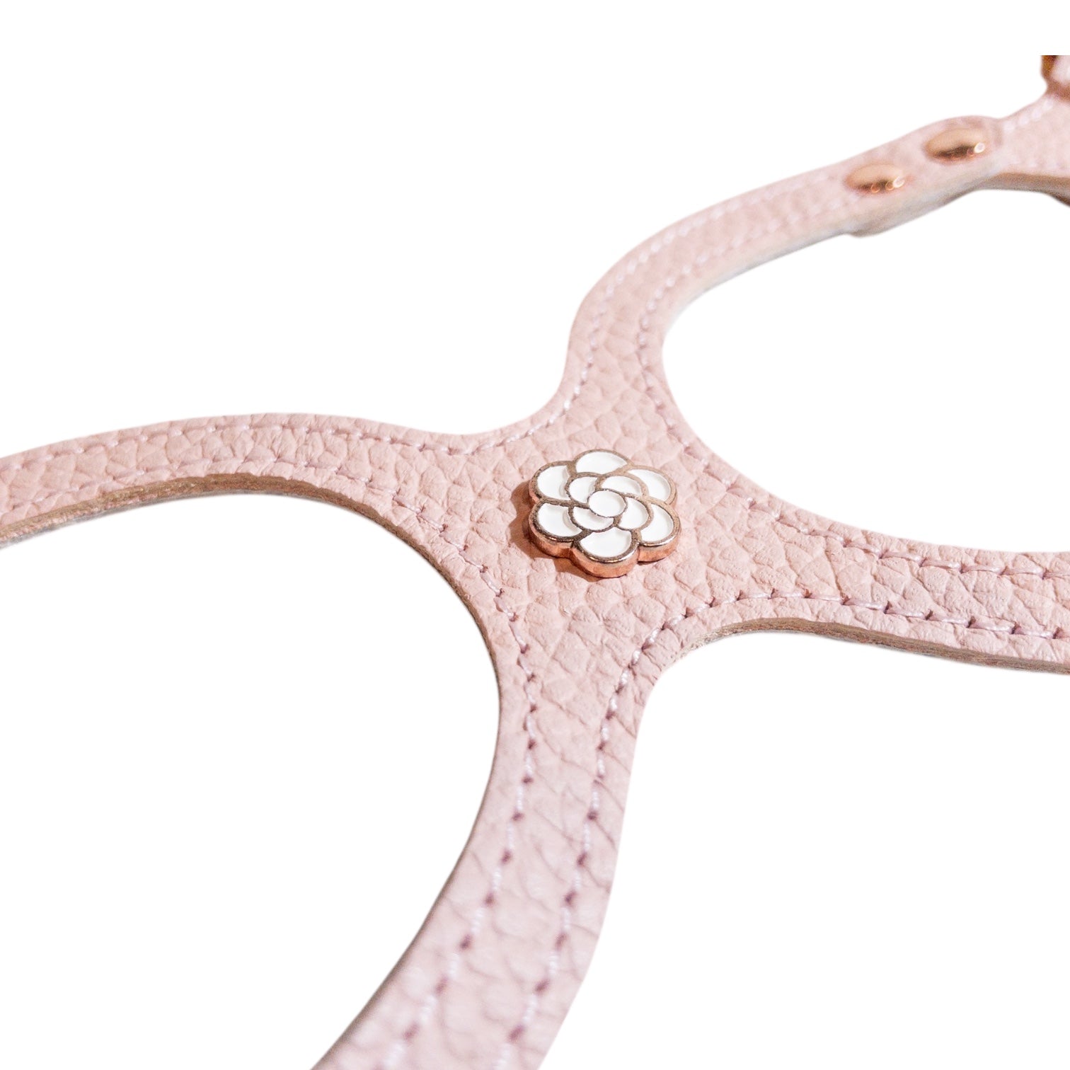 ローズ(ピンクゴールド枠) – バディーベルトジャパン