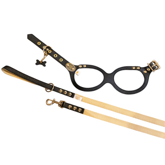 【BLACK FRIDAY 数量限定 SALE】選べるサイズと選べるリードのセット（ブラックセレブ）