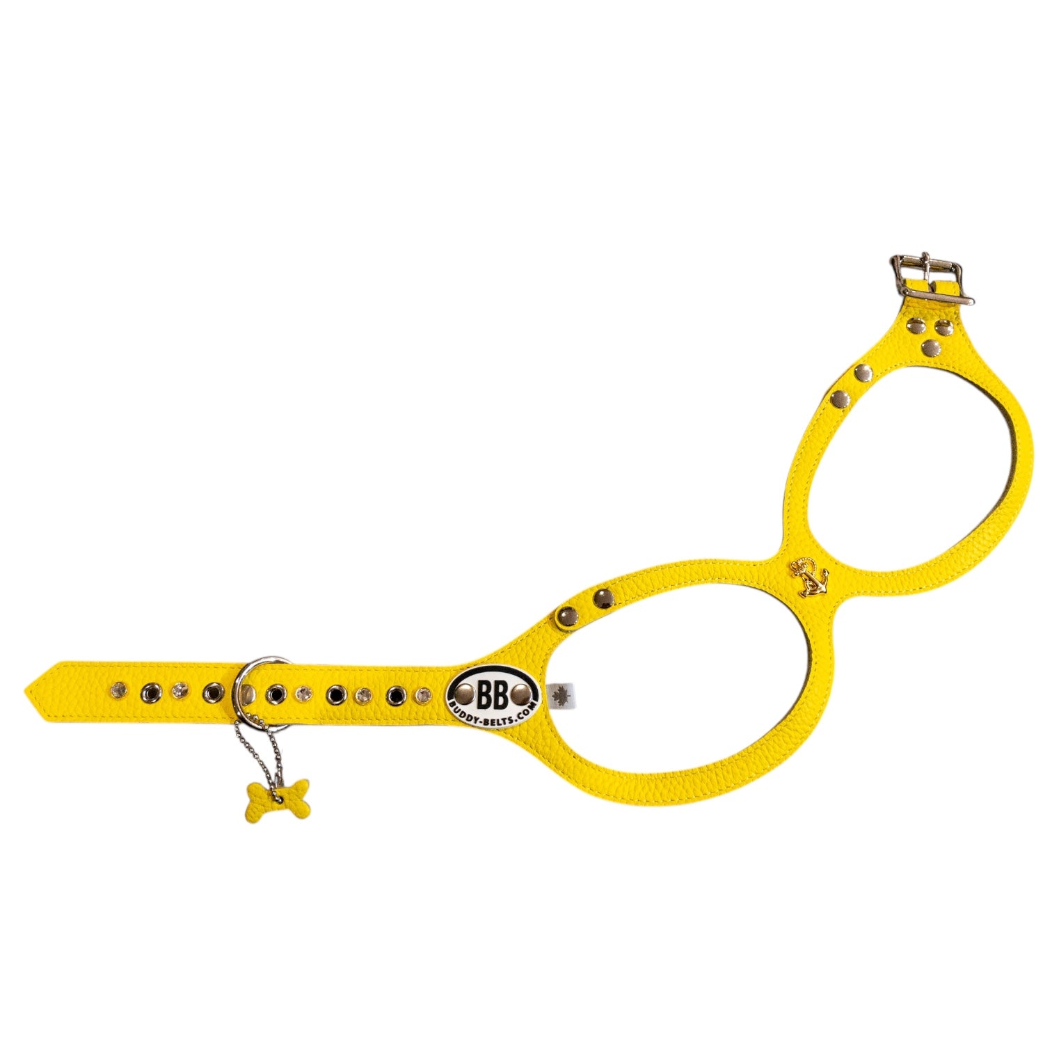 SPECIAL SALE「カナリア5号」