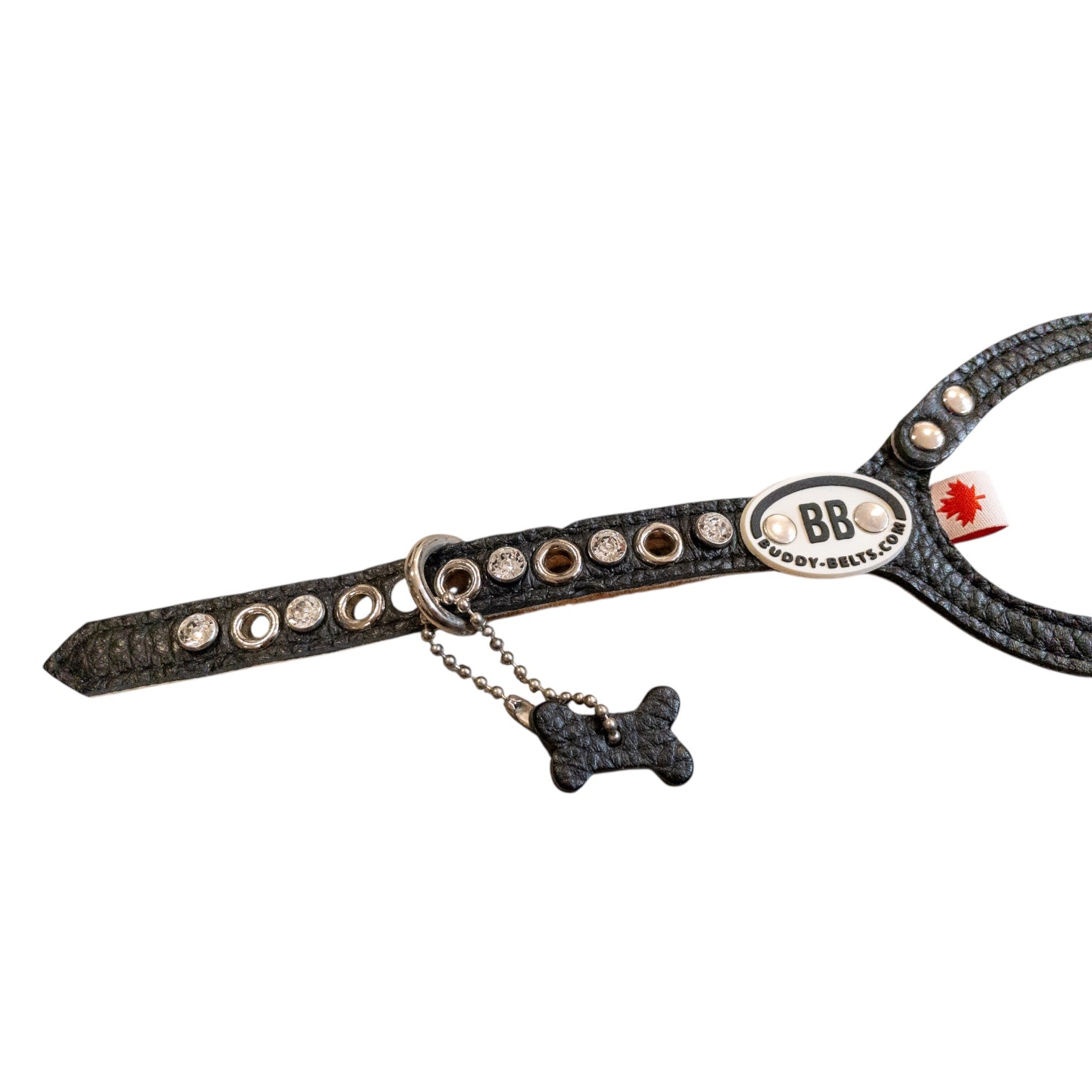 SPECIAL SALE「ブラック2.5号」