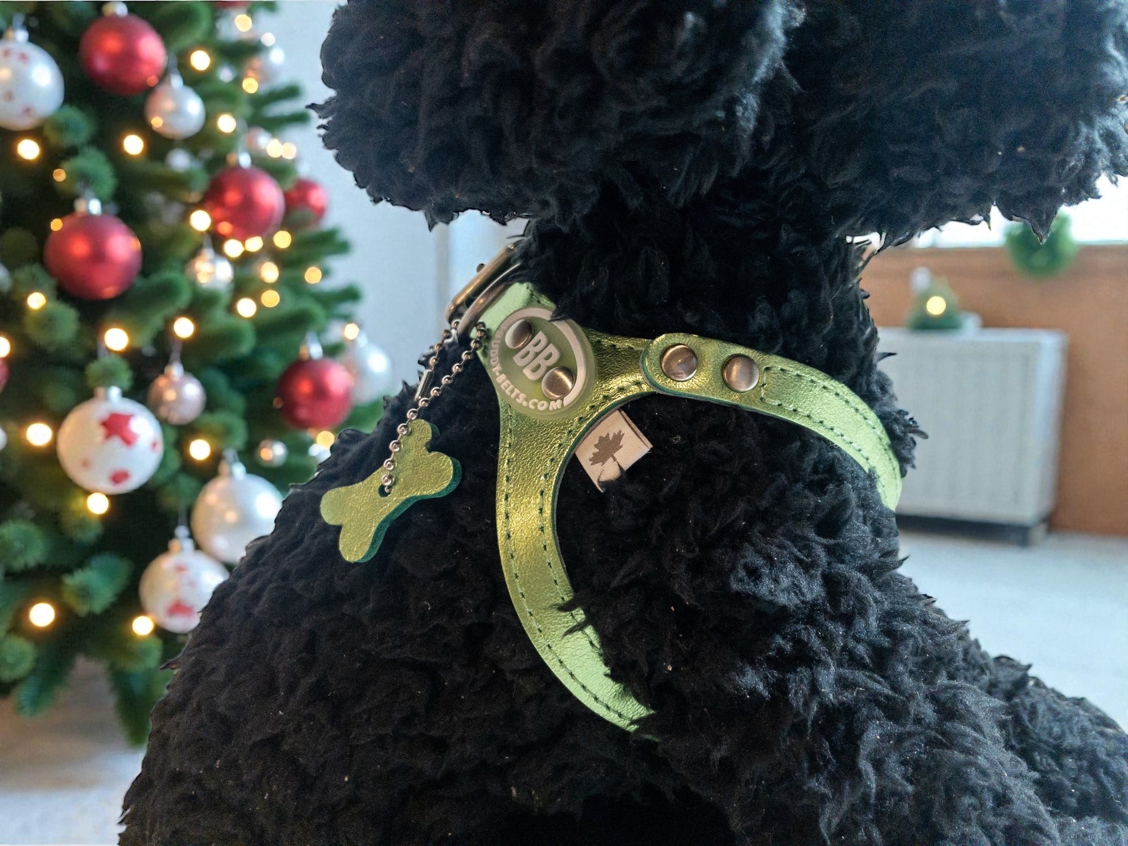 【Christmas数量限定販売】ホリデイグリーン